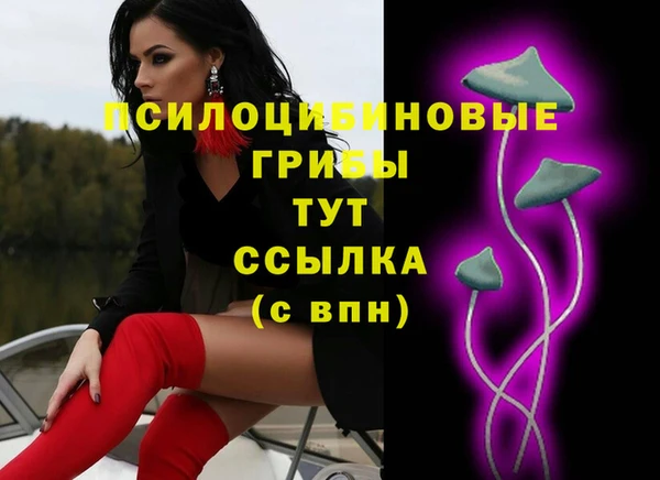 гашик Алзамай