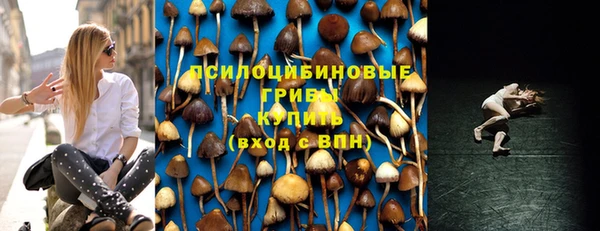 гашик Алзамай