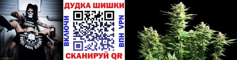 MEGA зеркало  цена   Брянск  Шишки марихуана план 